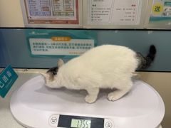 -虹泰宠物医院 ·旗舰店·24h(南秀路店)