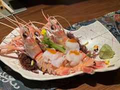 -Hi City·城市之巅