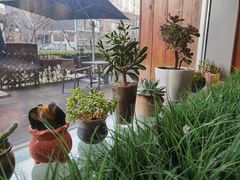 -咖啡陪你(广顺北大街福码大厦店)