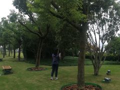 -北外滩滨江绿地