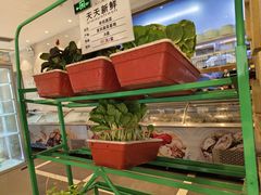 -山东宾馆·齐鲁苑餐厅