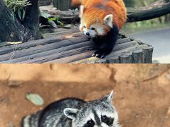 -云南野生动物园