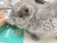 -谐和益家动物医院·免疫绝育·血液透析·宠保定点医院(高新伊藤分院)