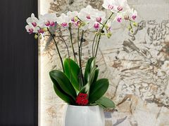 -龙发世家(广洋华景苑店)