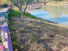-嘉北郊野公园