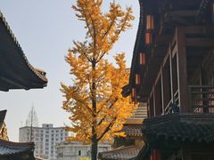-香积寺