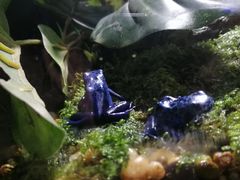 -暹罗海洋世界