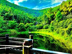 -九龙潭景区