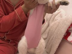 -深圳野生动物园宠物医院(西湖林语店)