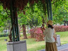 -文华公园(禅城区)