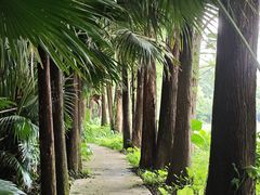 -南宁良凤江国家森林公园