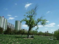 -永定河休闲森林公园