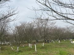 -凤凰沟景区