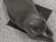 -壹人壹像工作室(购物公园店)