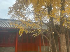 -承恩寺