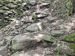 -岣嵝峰国家森林公园