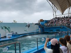 -秦皇岛新澳海底世界