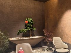 -阿露佳·舌尖上的安吉菜