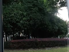 -陈家山荷花公园