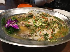 -荷花泰菜(东方新天地店)