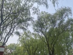 -燕郊植物园
