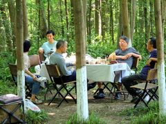 -桤木河湿地公园