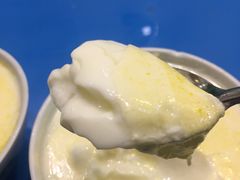 -德禄酸奶(莫家街店)