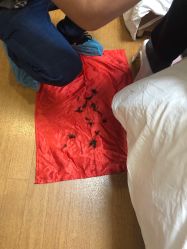 -龙文宝贝上门婴儿理发满月剃胎毛(普陀店)