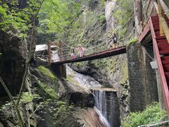 -牛背梁国家森林公园