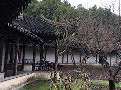-东吴面馆(金门路金门国际商业广场店)