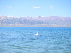-赛里木湖风景名胜区