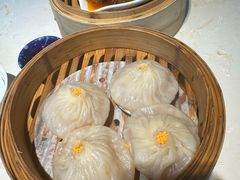 -点都德·毕德寮