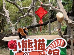 -广州动物园