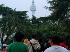-龟山风景区-龟山电视塔