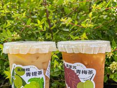 -炖物24章·顺时轻养茶(黄龙店)