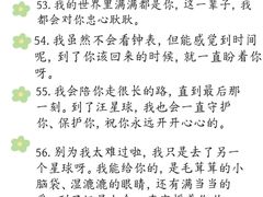 -猫猫幼稚园·撸猫·桌游·电玩