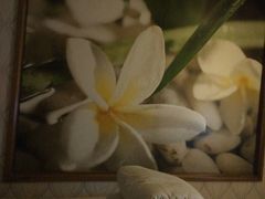 -东方之珠洗浴休闲广场(和平店)