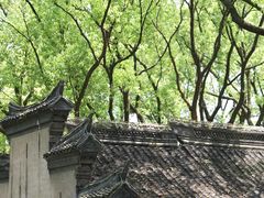 -天一阁博物院