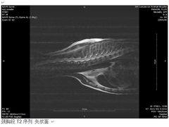 -爱侣宠医·鹦鹉专科·小型哺乳类·异宠专科(灵石路店)