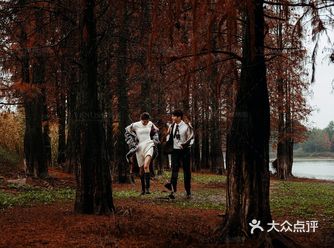 秋意红杉林婚纱照如痴如画，美得动魄惊心！