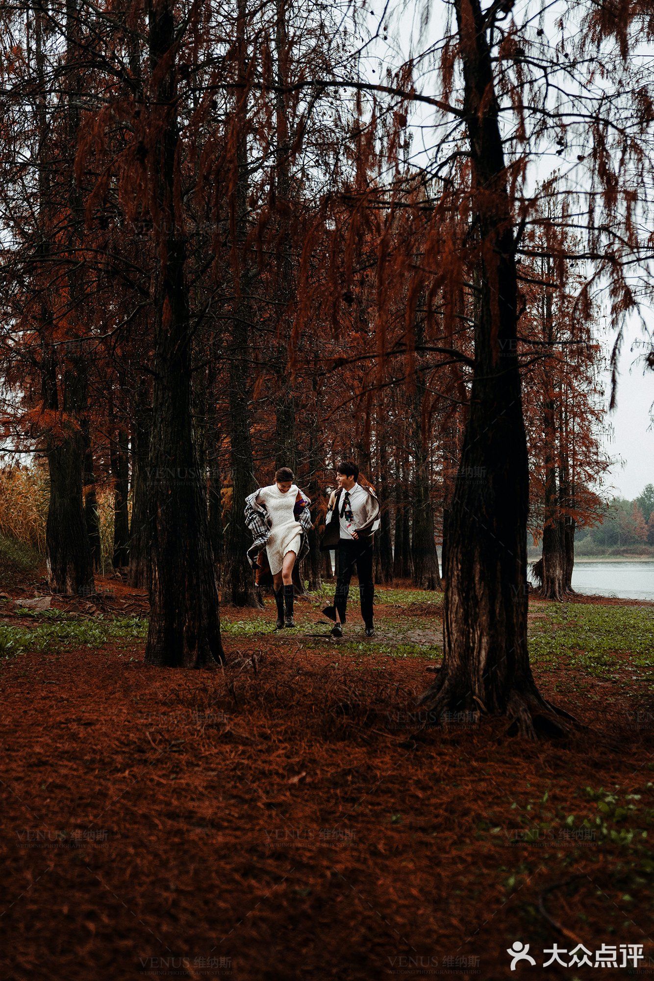 秋意红杉林婚纱照🍂如痴如画，美得动魄惊心！