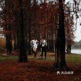 秋意红杉林婚纱照🍂如痴如画，美得动魄惊心！