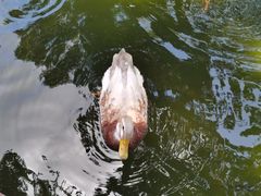 -海南热带野生动植物园