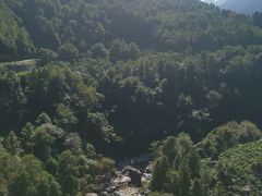 -石台牯牛降景区