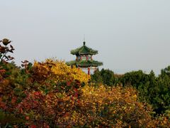 -北京西山国家森林公园