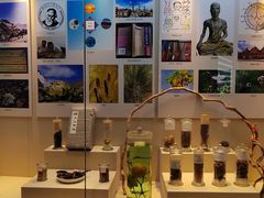 -广东中医药博物馆
