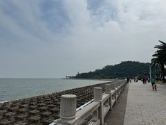 -野狸岛