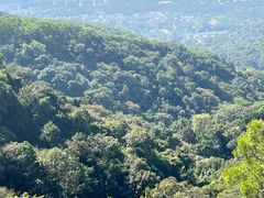 -星巴克(广州淘金路店)