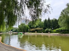 -团结湖公园