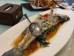 -紫丁香饭店-中餐厅